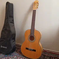 گیتار بست فان  e160