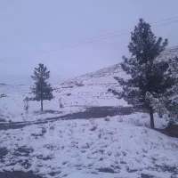 جویای کار