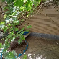 58-متر-حیاط-اختصاصی-تک-واحدی-خوش-نقشه