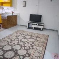 اجاره روزانه آپارتمان بسیار تمیز