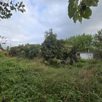 ۲۷۰۰ متر زمین با ویلا و سند ششدانگ|فروش خانه و ویلا|رضوانشهر, |دیوار