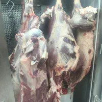 کارگر مرغ و گوشت  خورد کن
