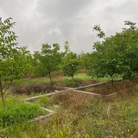 17 هزار متر باغ سند تک برگ ۴۰۰متر داخل بافت ییلاقی|فروش زمین و ملک کلنگی|زیرآب, |دیوار