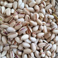 پسته اکبری|خوردنی و آشامیدنی|قم, شهر قائم|دیوار