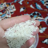 برنج ونیم دانه کیلویی ۱۶۵|خوردنی و آشامیدنی|کردکوی, |دیوار