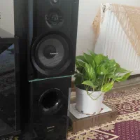 ضبط و باند
