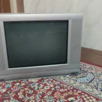 تلویزیون وسبزی خوردکن