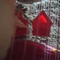 فنچ 2 جفت|پرنده|یاسوج, |دیوار