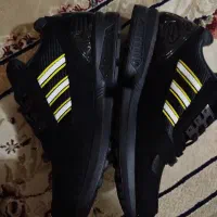 zx.ویتنام|فرش|تهران, خلیج فارس|دیوار