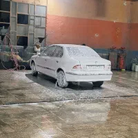 سمند خونگی 95