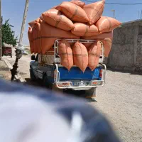 کاه|لوازم جانبی حیوانات|یاسوج, |دیوار