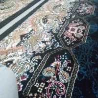 سگ سفیدنروطوسی ماده توله نرمیباشد|سگ|فردیس, شهرک شهید حسینی|دیوار