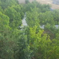 زمین مسکونی|فروش زمین و ملک کلنگی|همایجان, |دیوار