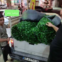 فنس چمن و فنس برگی و گرینوال|گل مصنوعی|قم, حنیف نژاد|دیوار