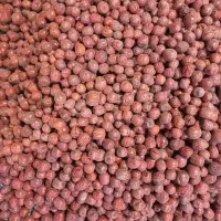 عناب|خوردنی و آشامیدنی|مشهد, علی آباد|دیوار