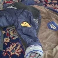 کاپشن بچگانه درحدنو|کفش و لباس بچه|سهند, |دیوار