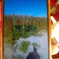 زمین-کشاورزی