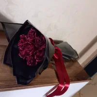 روبان شاین دار|گل و گیاه طبیعی|بروجرد, |دیوار