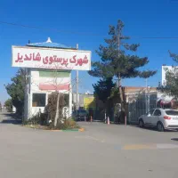 مجتمع-پرستو-شاندیز-زمین-365