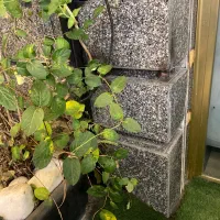 پارکینگ در محدوده شهرک زاگرس
