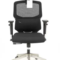تعمیر صندلی اداری در محل با ۲۴ ماه ضمانت (رایگان)|خدمات پیشه و مهارت|اصفهان, مسجد مصلی|دیوار