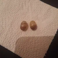 مهره برد قدیمی|بدلیجات|یاسوج, |دیوار