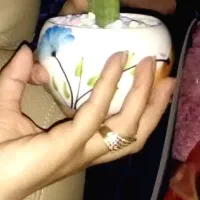 انگشتر گم شده