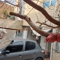 خانه-ویلایی