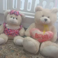 خرس بزرگ وکوچک پشمالو