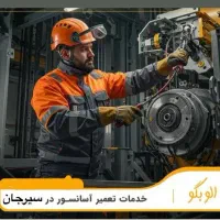 سرویس و تعمیر تخصصی انواع آسانسور  فوری در سیرجان