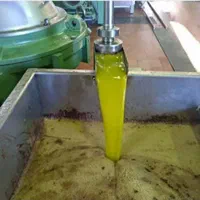 روغن زیتون بی بو و بابو مستقیم از تولید کننده