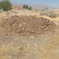 کود حیوانی