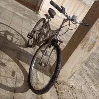 دوچرخه۲۶ دنده ای ویوا تمیز|دوچرخه، اسکیت، اسکوتر|تربتحیدریه, آسایش|دیوار