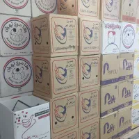 پخش تخم مرغ