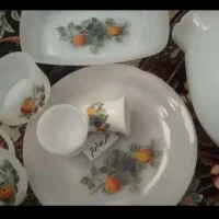 ظروف شیک و پذیرایی