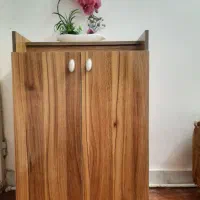 جا کفشی مدل لب تابی