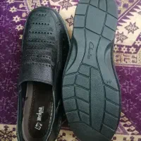 گاوصندوق موتور فرش کت کاپشن پیراهن گفش گلدان قهوه|حراج|اهواز, بهارستان|دیوار