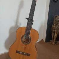 گیتار  تمیز چینی خوش دست