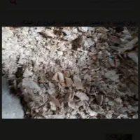 نان خشک