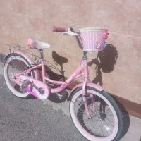 دوچرخه ۲۰ د حد نو