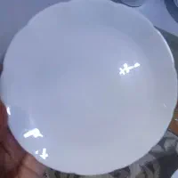 آرکوپال دینو نیلوفری