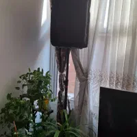 دایناکور 600 باند سناتور 15/60|صوتی و تصویری|اصفهان, سرتاوه|دیوار