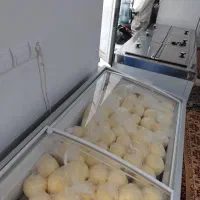 کره گاومیش وگاو|کافیشاپ و رستوران|تبریز, |دیوار