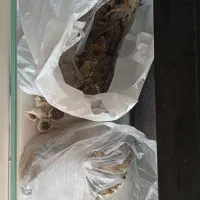 آکواریوم با تمام لوازم|لوازم جانبی حیوانات|رشت, جانبازان|دیوار