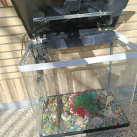 اکواریوم شیشه خم برند دلسا