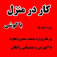 استخدام بانوان جویای کار به صورت آنلاین