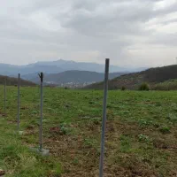 زمین-زراعی-مدارک-کامل