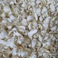 شکوفه نارنج و پرتقال