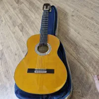 گیتار آریا مدل AK-20