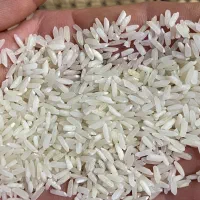 مواد غذایی برنج